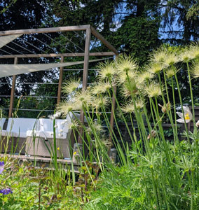 Die Garten-Therapie